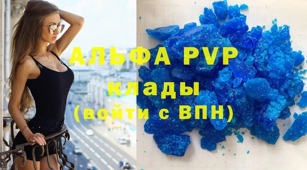 хмурый Алексин