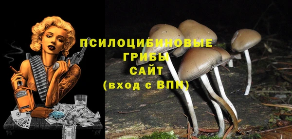 амф Алексеевка