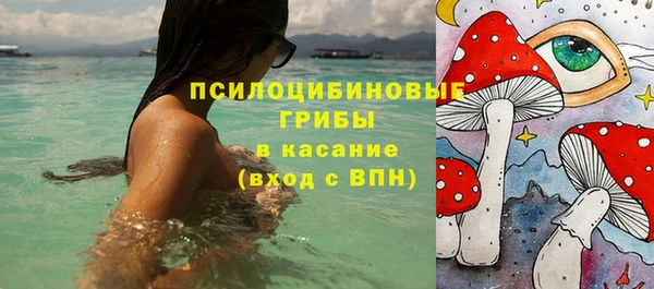 амф Алексеевка