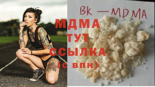 хмурый Алексин