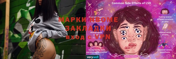 хмурый Алексин