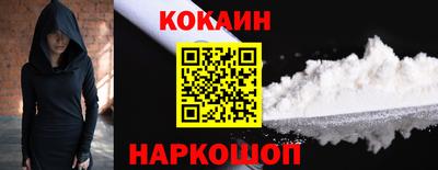 кокс Гатчина