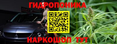 мяу мяу мука Гай