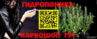индика Гагарин