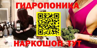 мяу мяу мука Гай