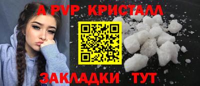 кокс Гатчина