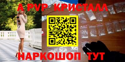кокс Гатчина