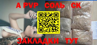 кокс Гатчина