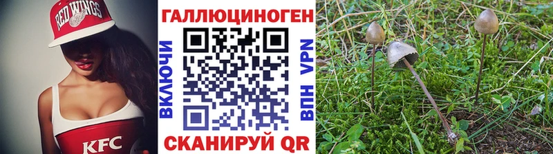 купить наркоту Нефтекамск даркнет формула Псилоцибиновые грибы MAGIC MUSHROOMS blacksprut вход