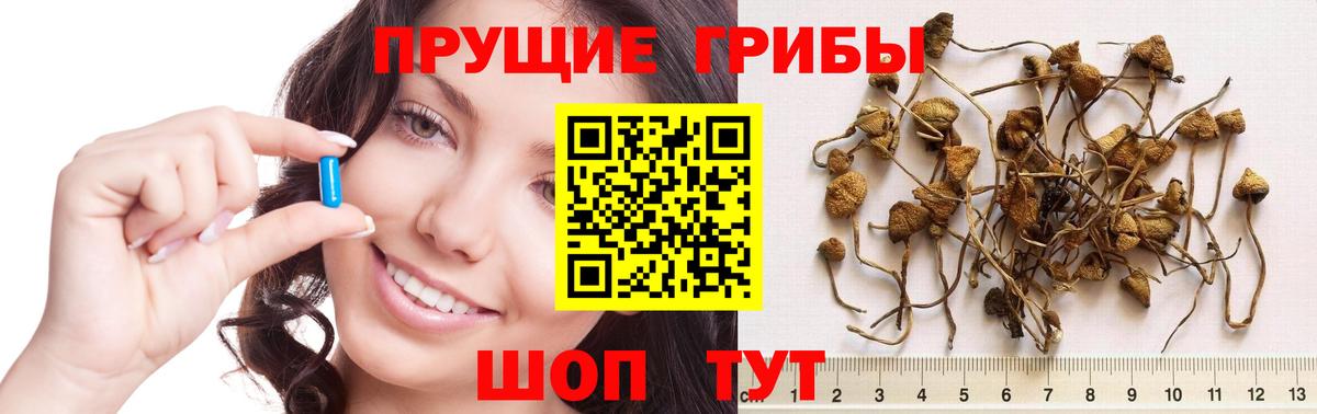 Галлюциногенные грибы ЛСД  Псилоцибиновые грибы Psilocybine cubensis  Нефтекамск  Вход с VPN 