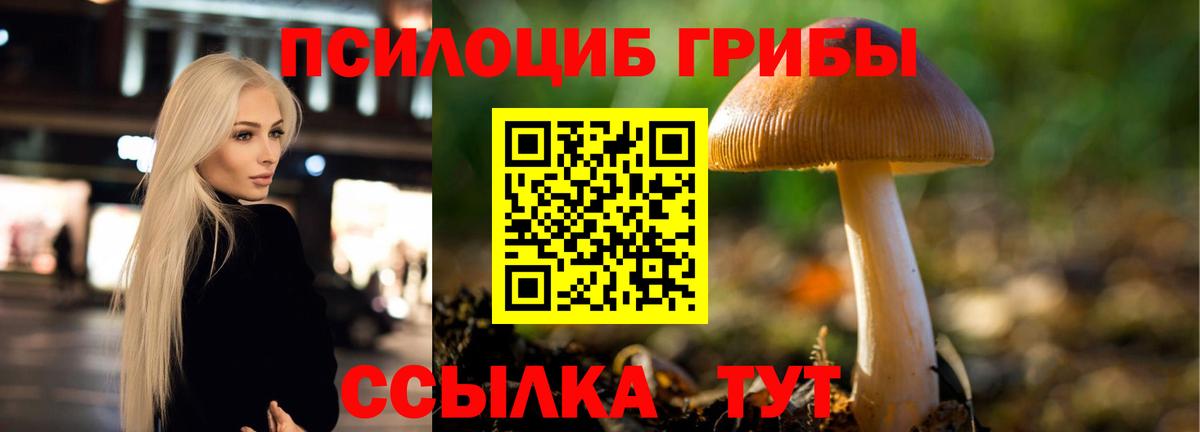 Псилоцибиновые грибы ЛСД Нефтекамск